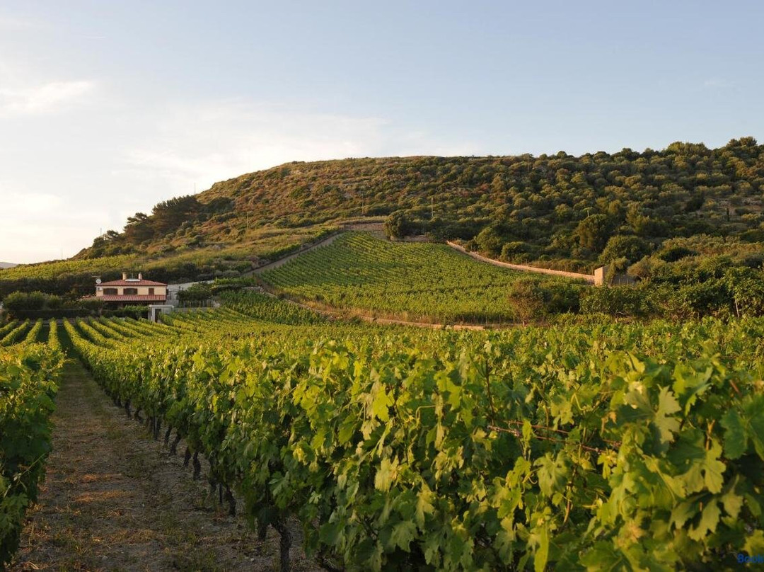 Casa Nel Vigneto Con Vista Mare