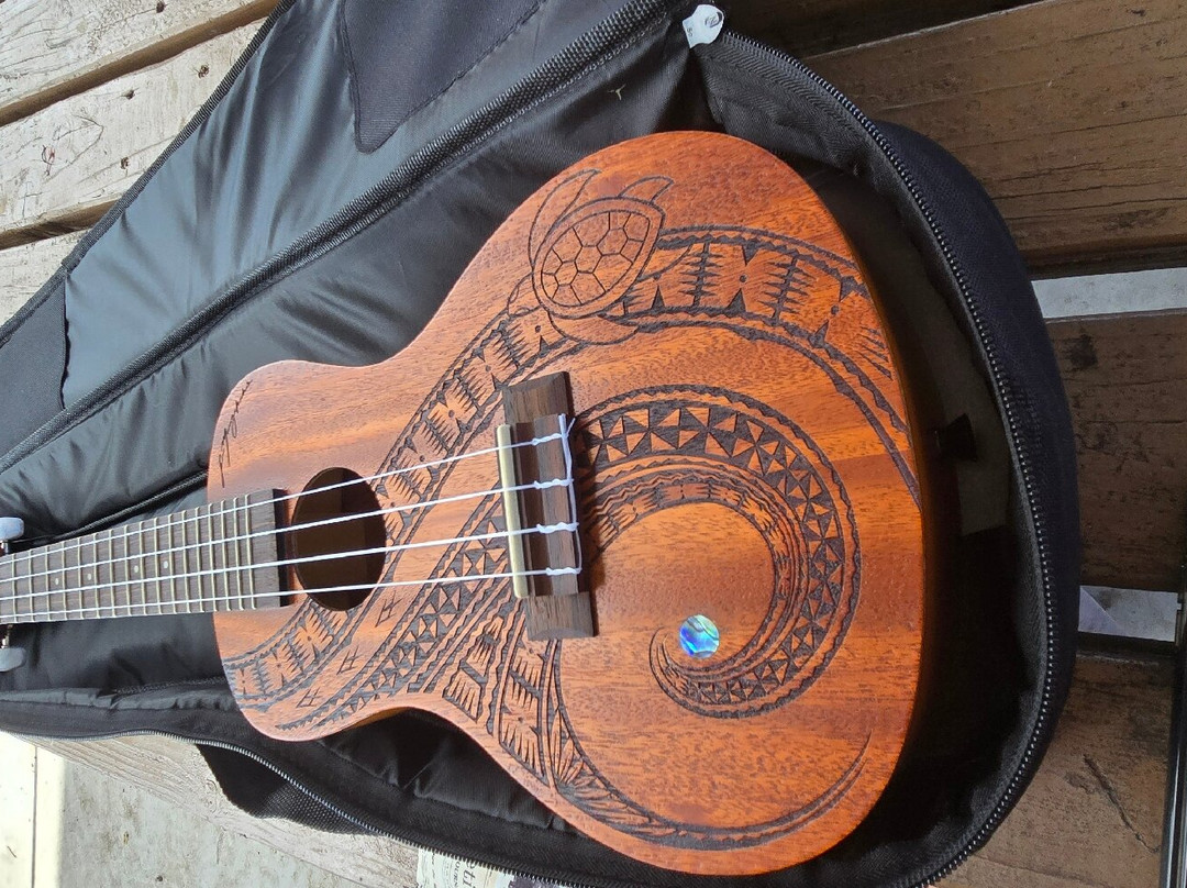 Hilo Guitars and Ukuleles-希洛必去景点