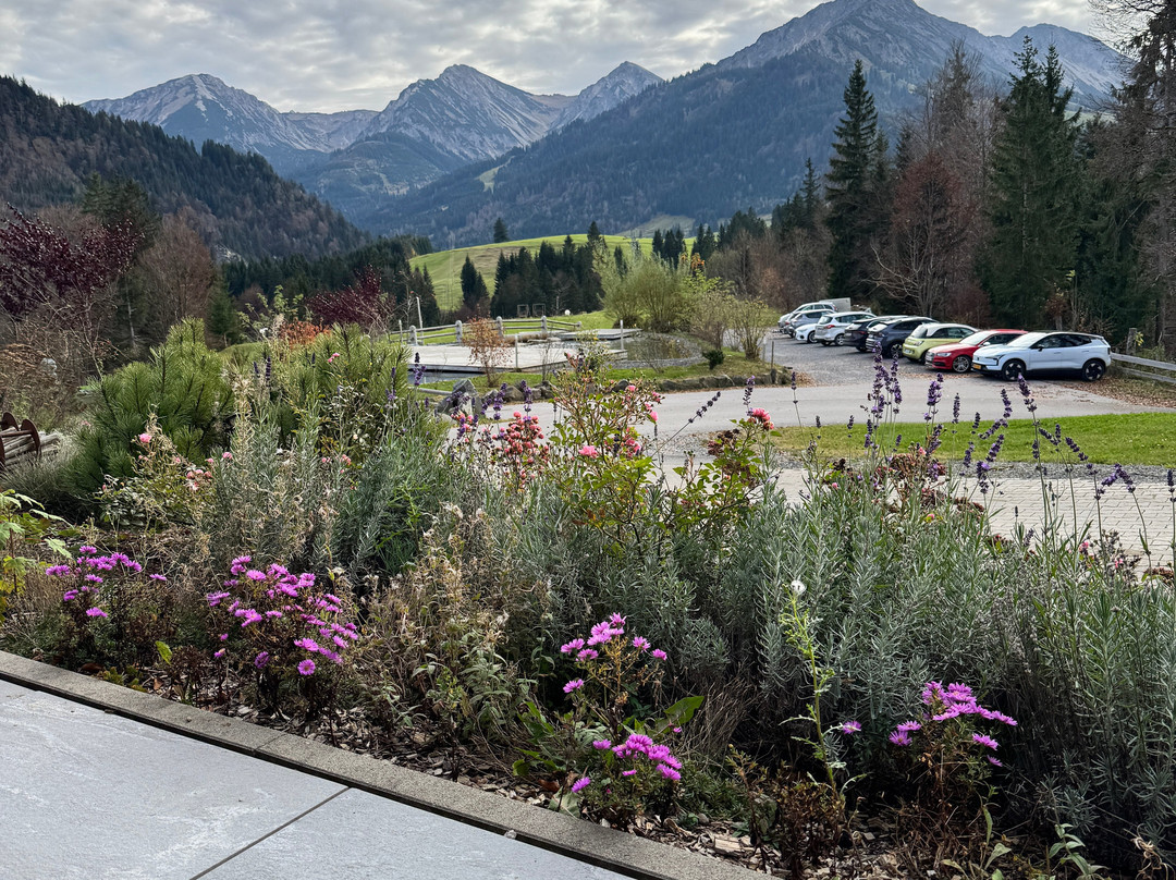 Hotel Rehbach - Ruhehotel & Naturresort主图