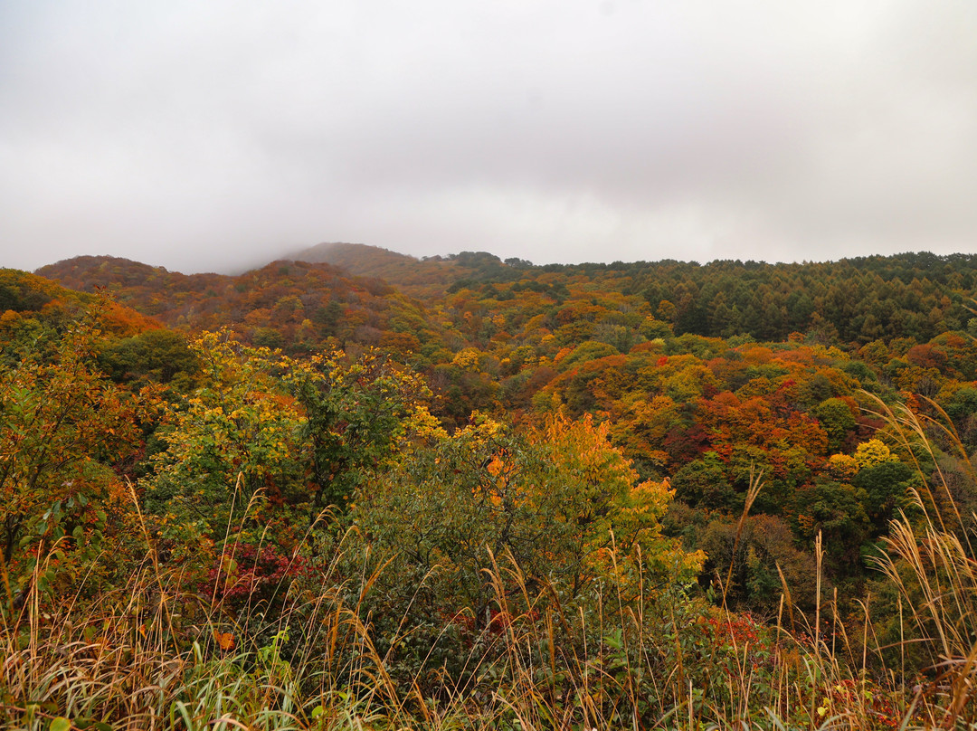 Mt.Bandai Gold Line-盘梯町必去景点