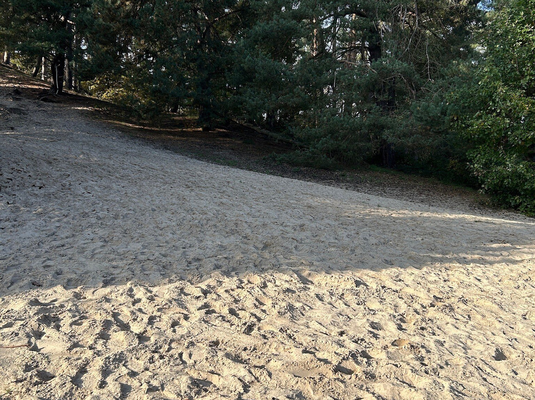 Kammweg Teufelsmauer Blankenburg