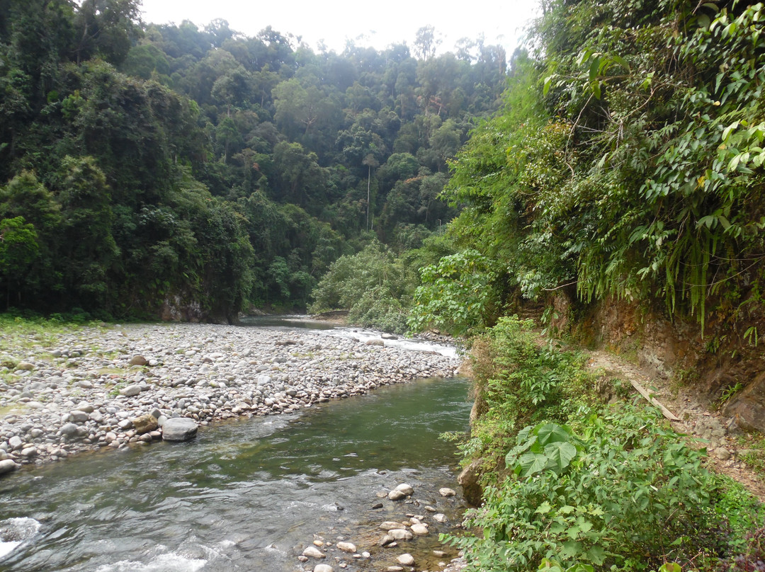 Adventure Bukit Lawang-武吉拉旺必去景点