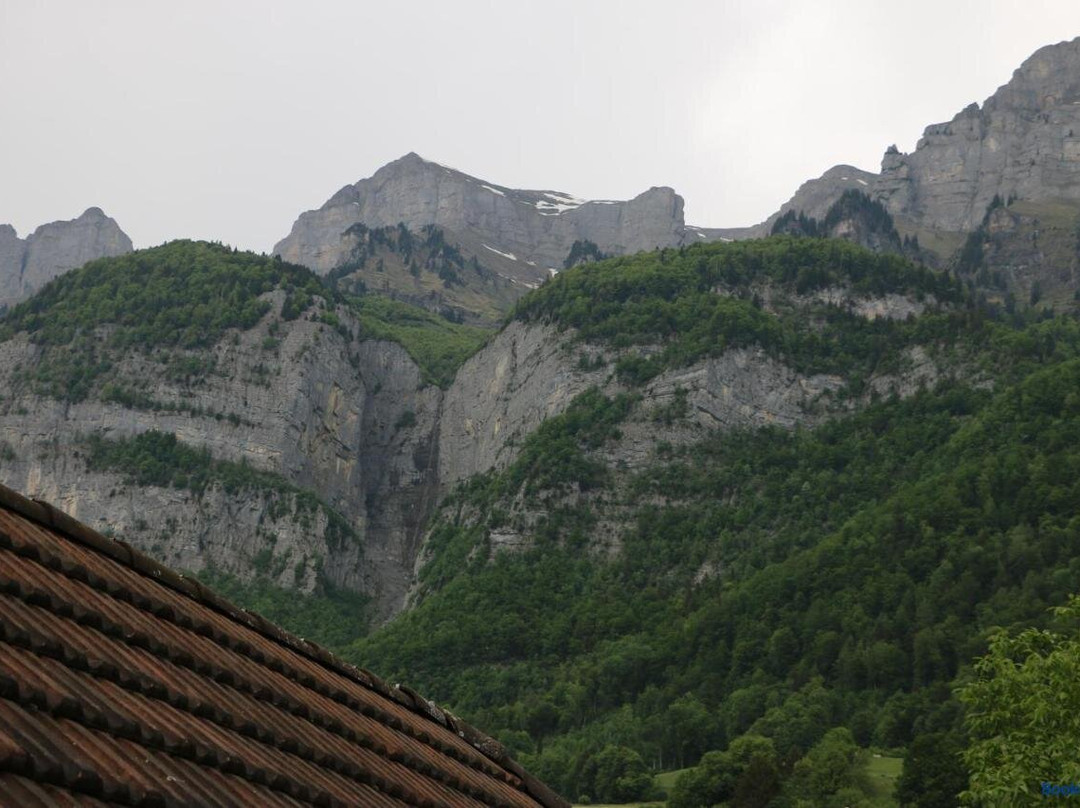 Hotel Lowen