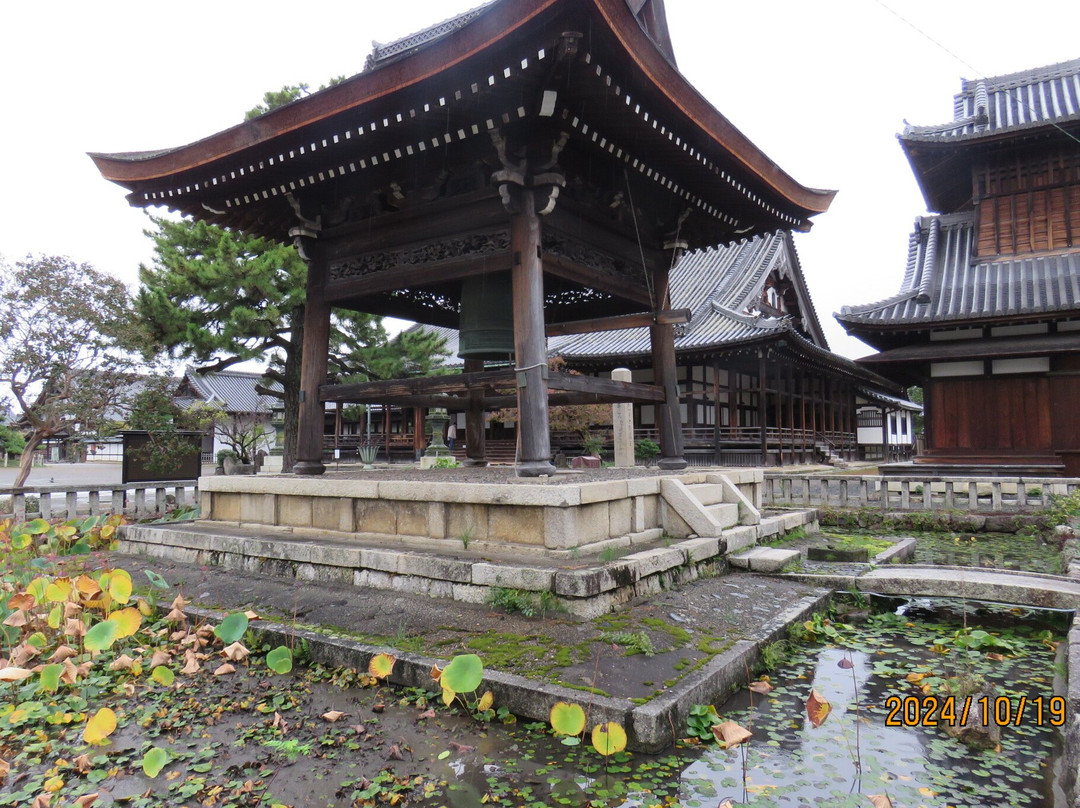 Daitsuji Temple-长滨市必去景点