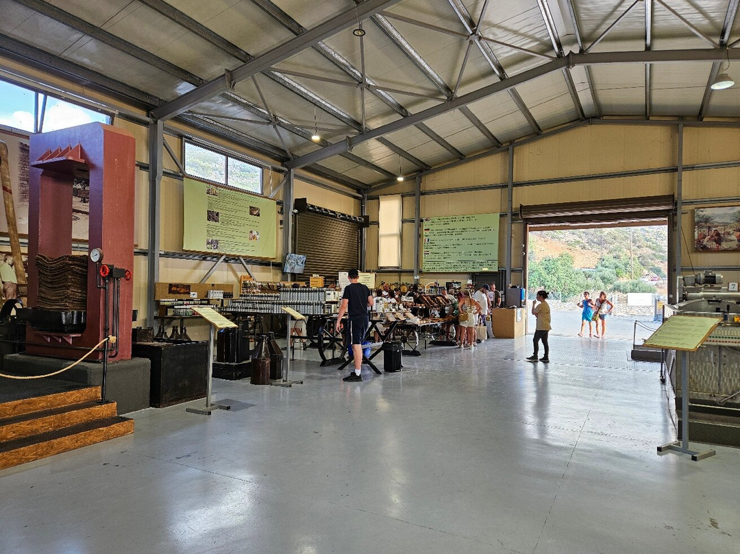 Omalia Olive Press-马利亚必去景点