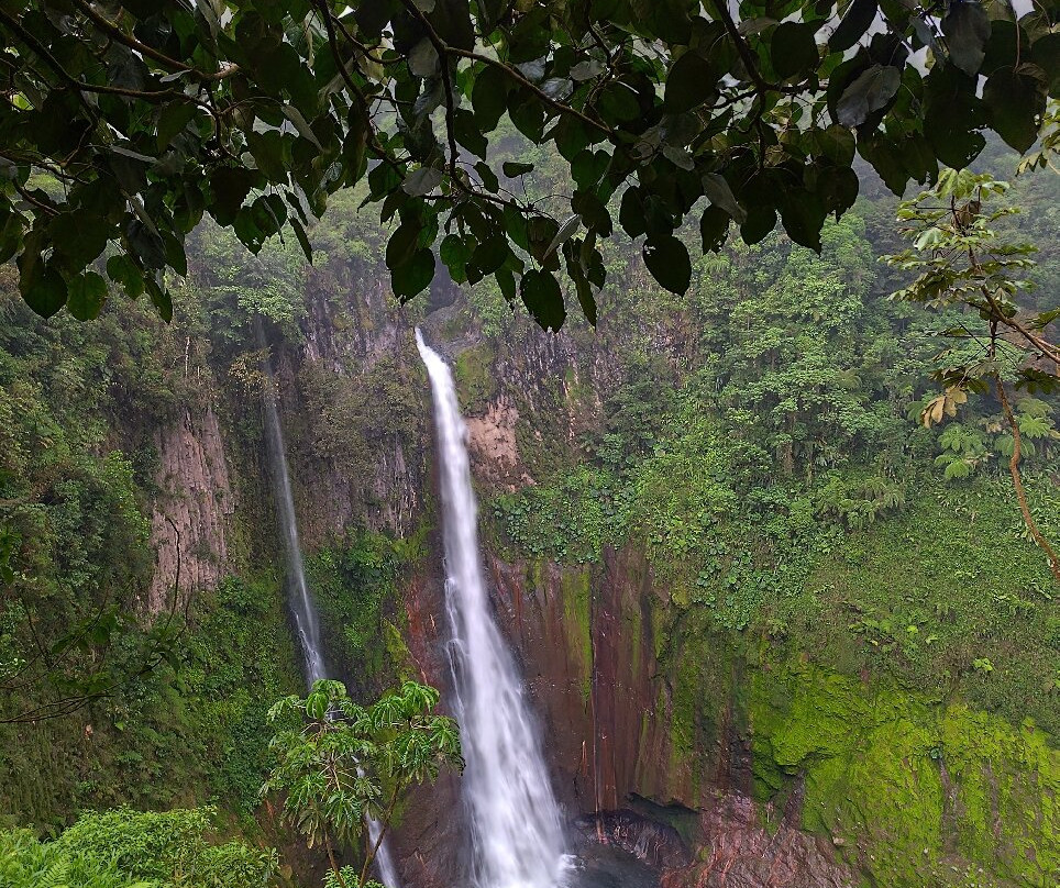 Catarata Del Toro景点图片