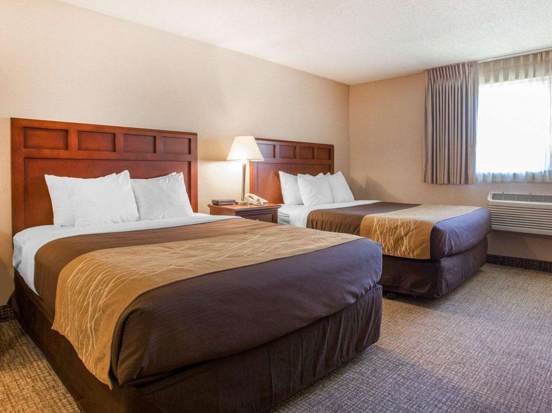 柯克兰酒店住宿-Comfort Inn Kirkland