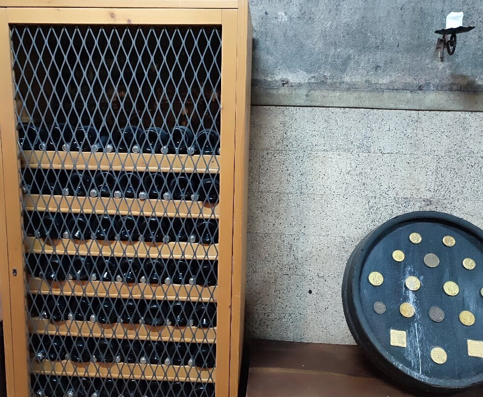 Vinag Wine Cellar-马里博尔必去景点