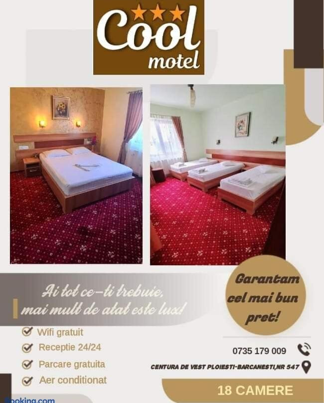 Motel Cool