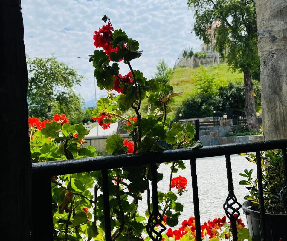 Guesthouse AlpenRose