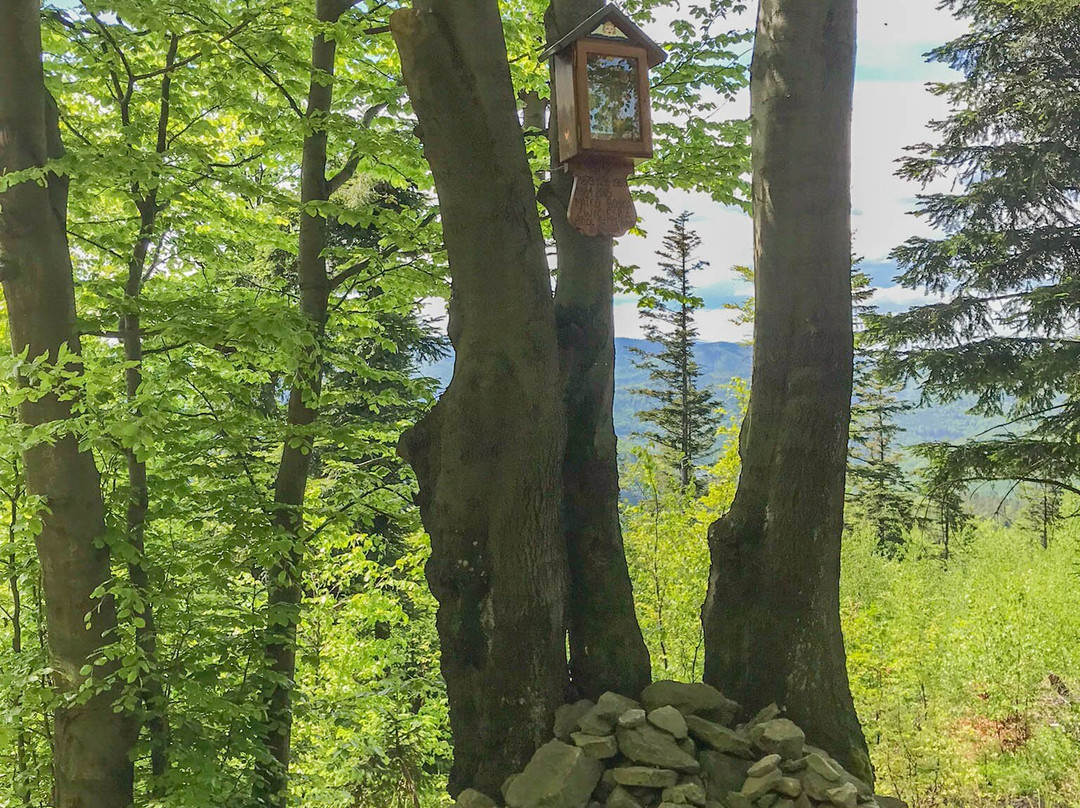 Szlak Porąbka - Trzonka-Porabka必去景点