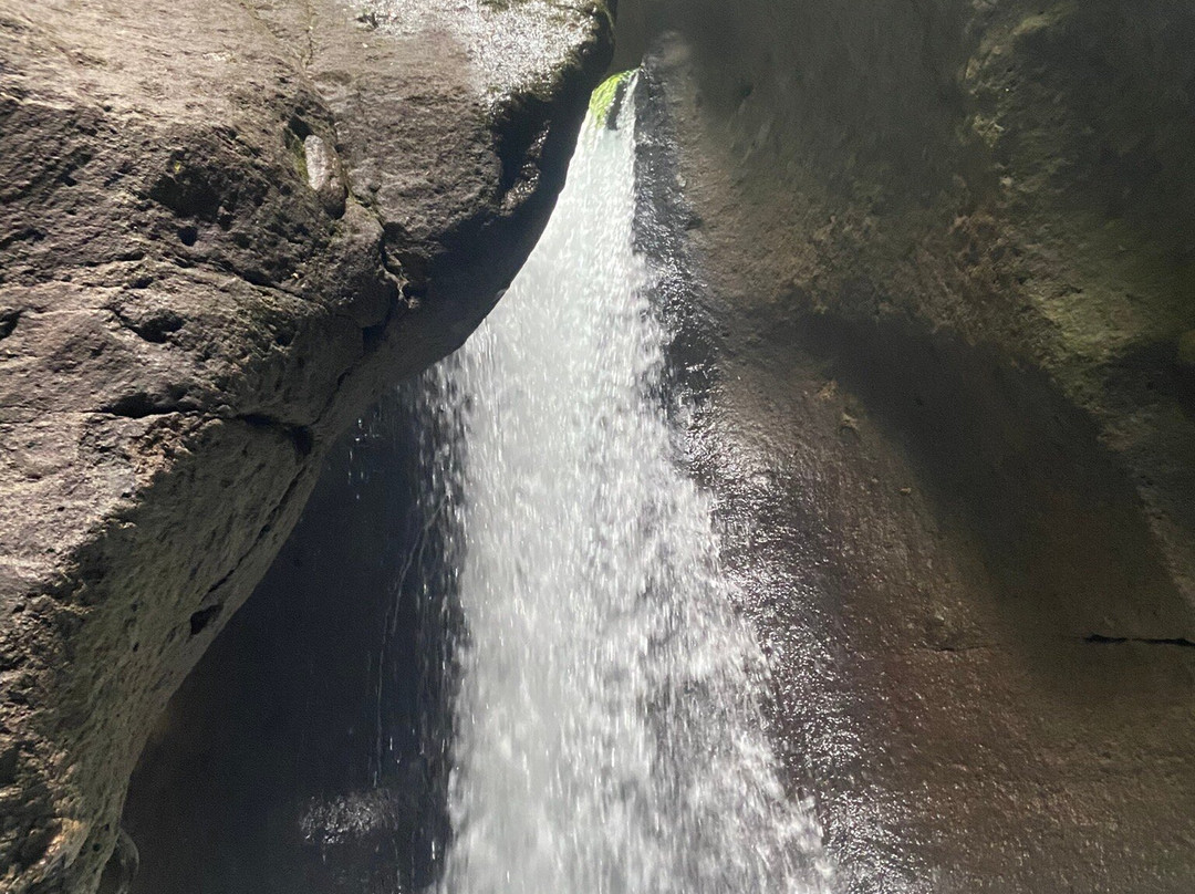 Wacky Rollers-罗索必去景点