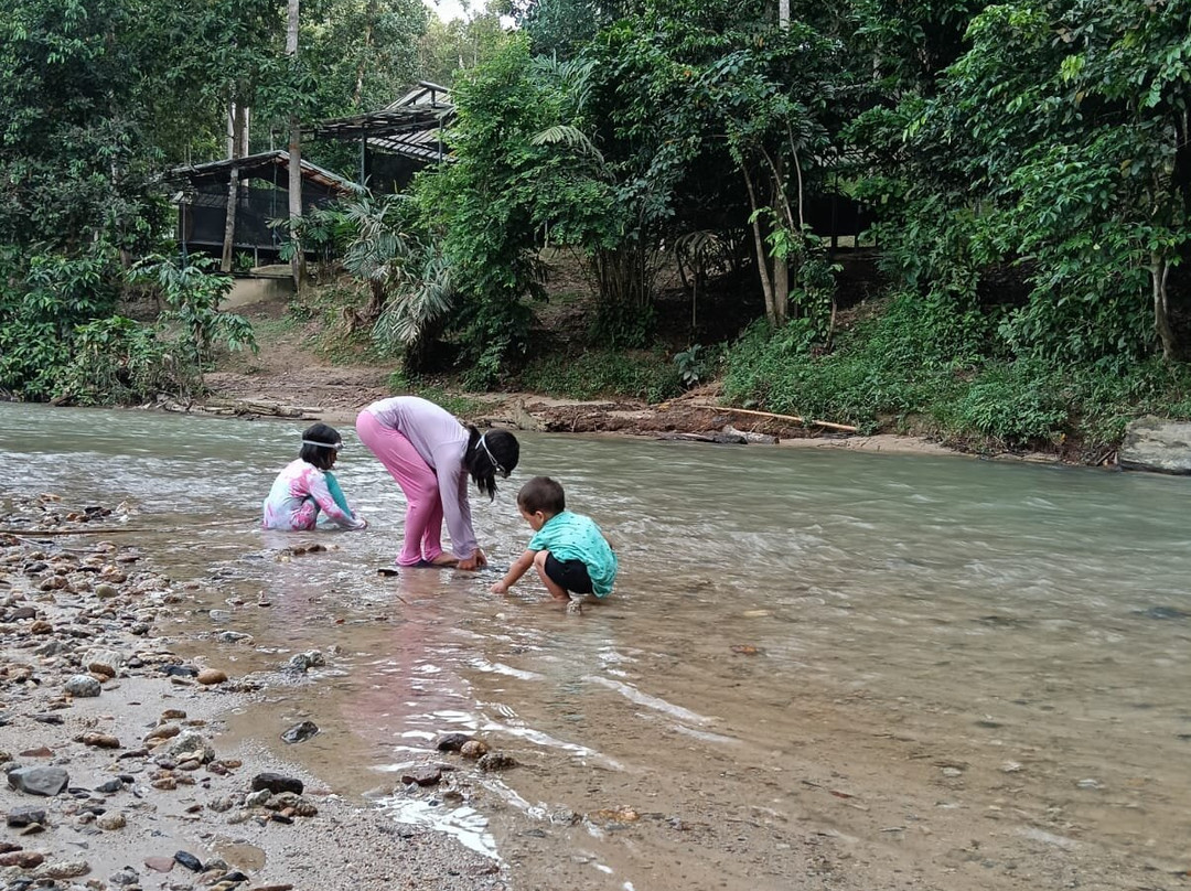 Atasan Nature Retreat景点图片