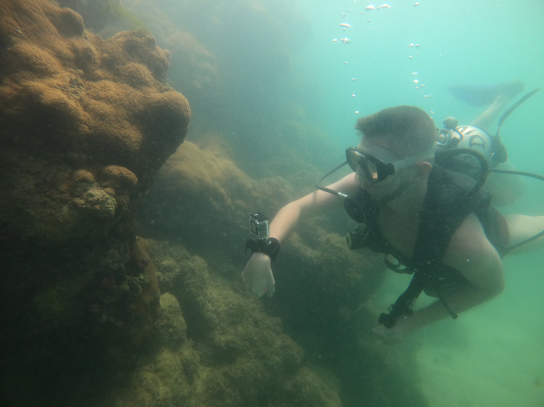 Deep Dive Adventures-嘎林海斯港必去景点