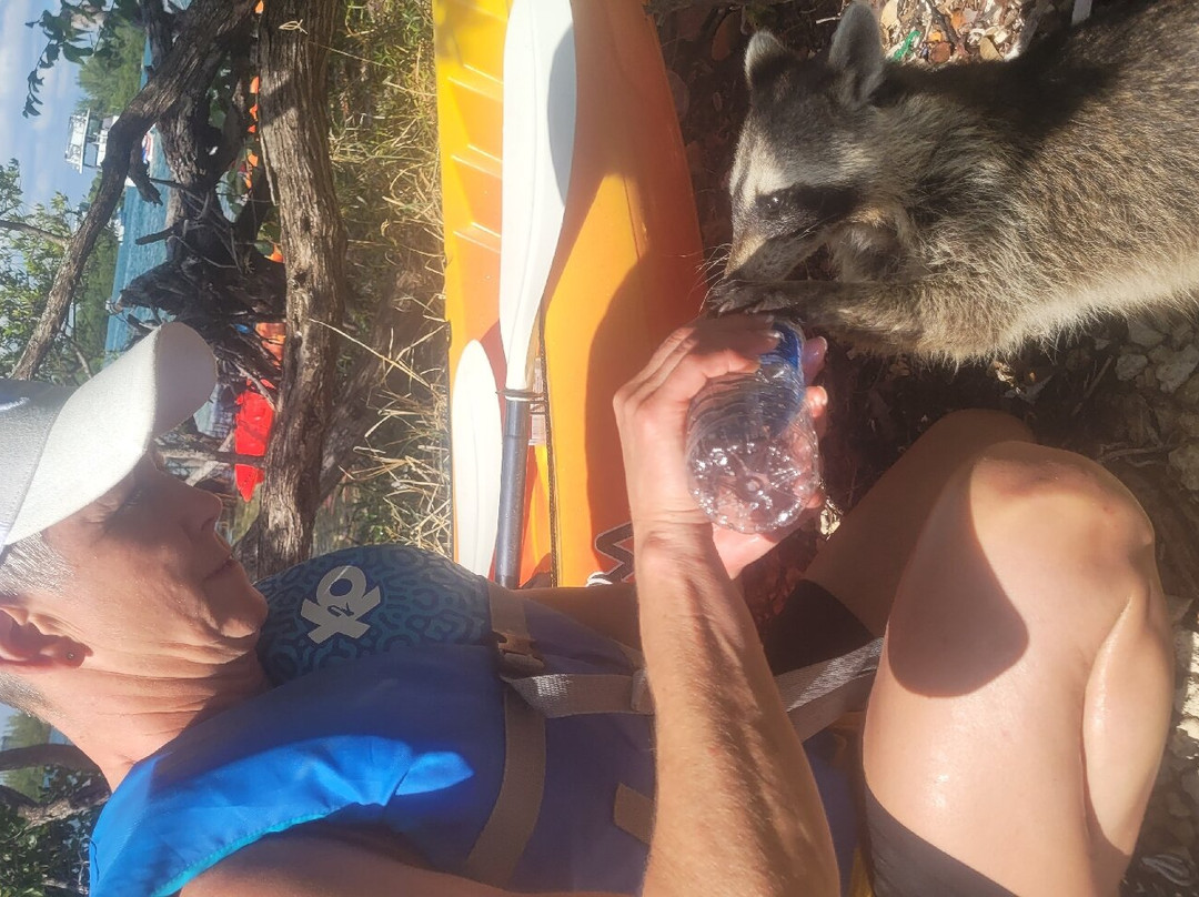 So Flo Water Adventures-迈阿密必去景点