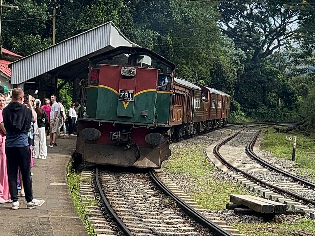 Lets See Asia Travels景点图片