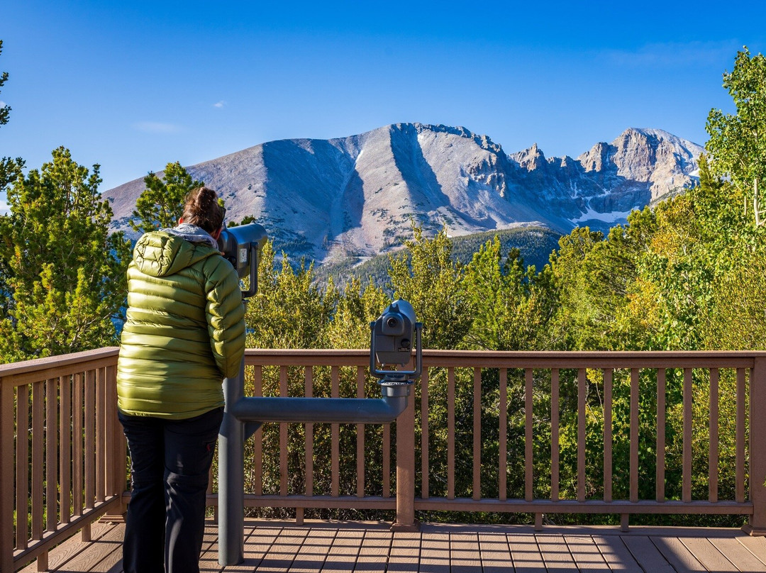 Shaka Guide Audio Tour Guide: Great Basin National Park