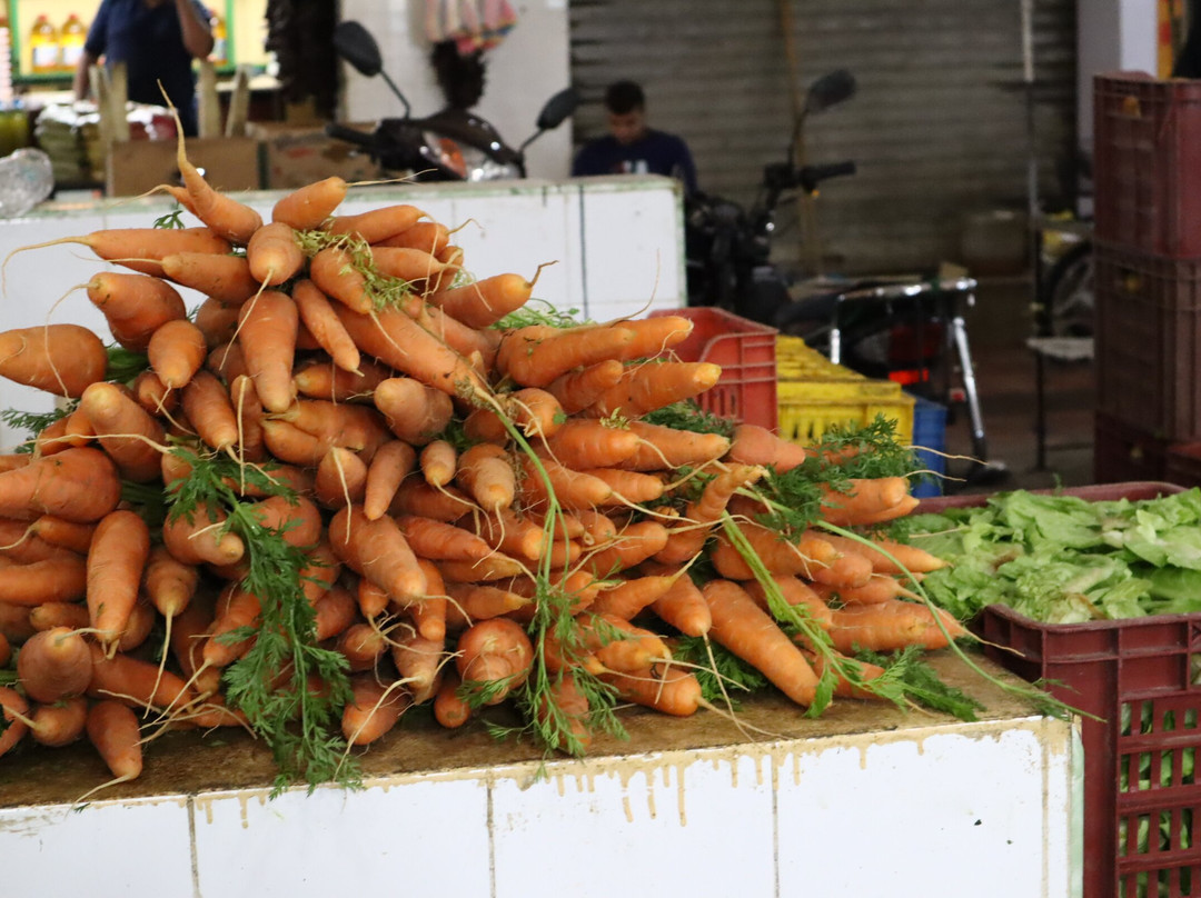 Tozeur Market-吐泽尔必去景点