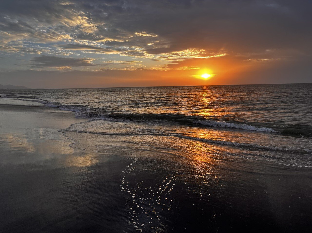 El Palmar Beach景点图片