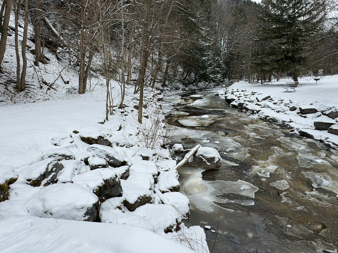 Whetstone Gulf State Park-Lowville必去景点