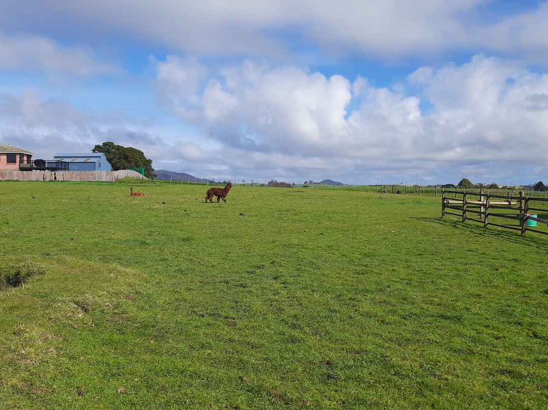 肯特山撤退 酒店主图