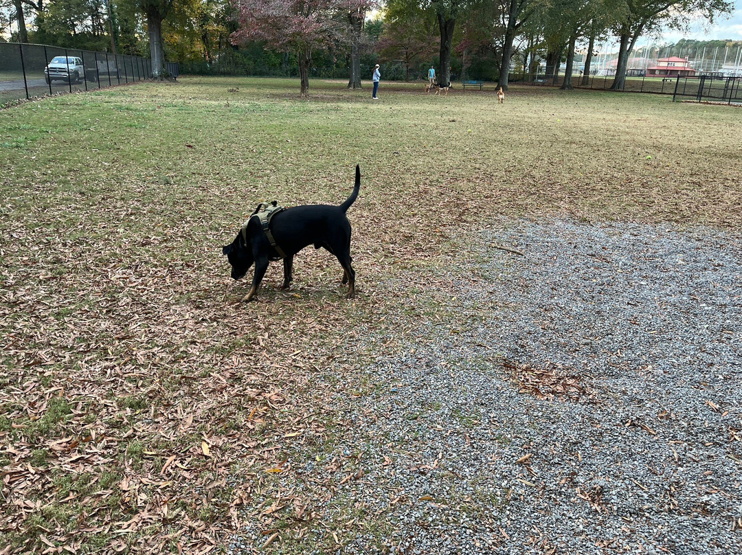 Hamilton Crossing Park-Cartersville必去景点