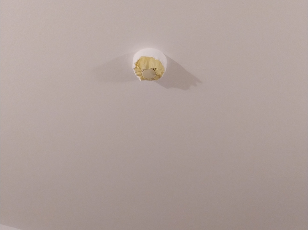 Palm Beach Resort主图