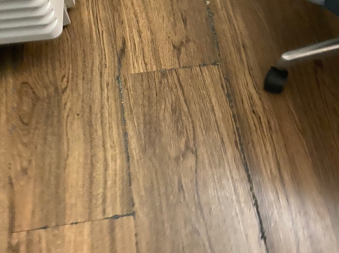 Tru by Hilton Beaufort主图