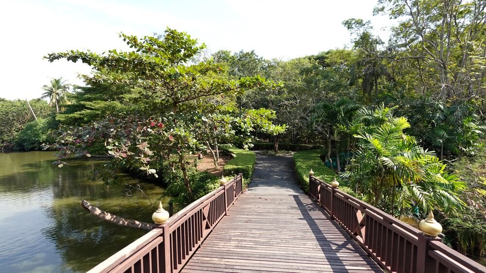 Bangkachao-帕巴登必去景点