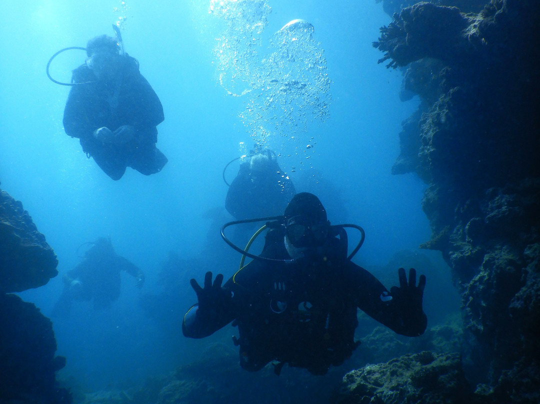 Pilbara Dive And Tours Pty Ltd-卡拉萨必去景点