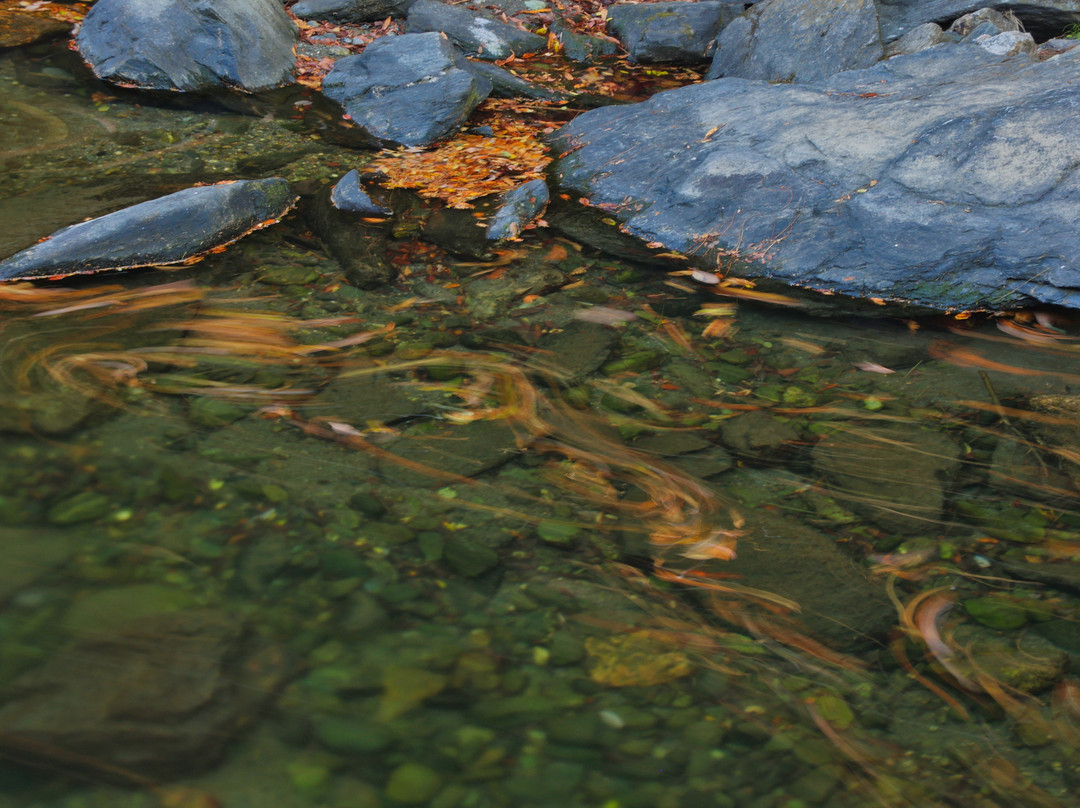 Ranzan Valley-岚山町必去景点