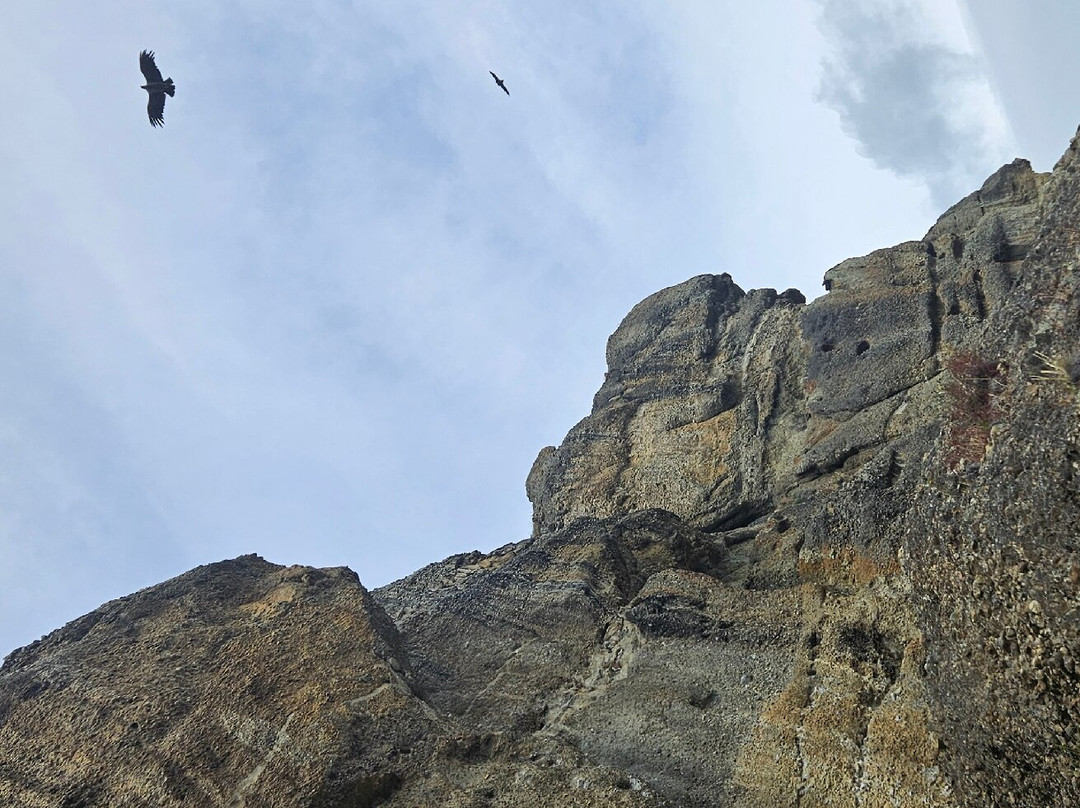 Mountaineering Aldrete-Torres del Paine必去景点