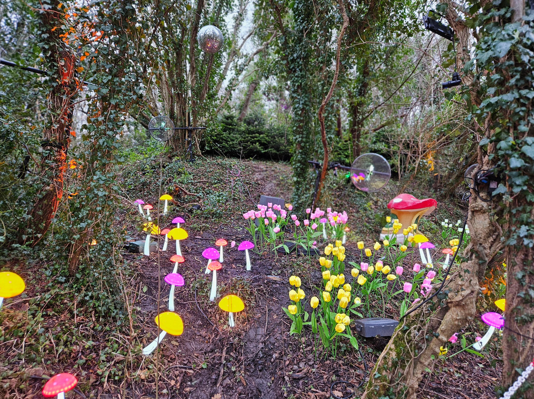 Reindeer Lodge-Leeswood必去景点