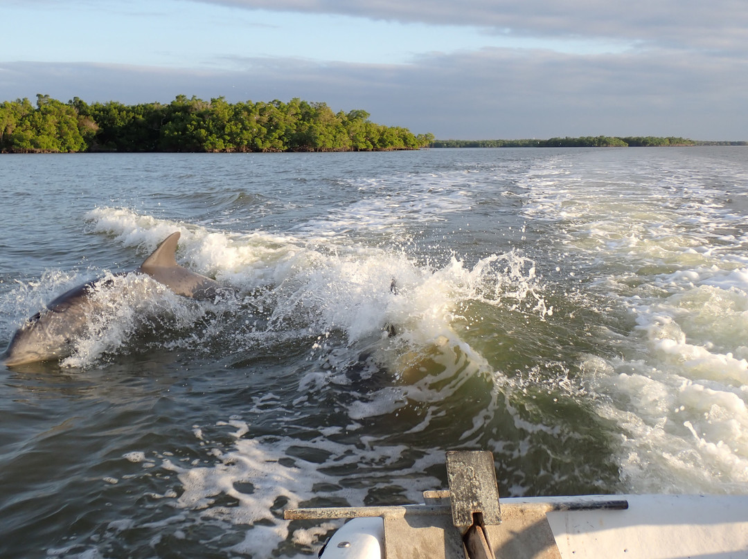 Everglades Boat Tours景点图片