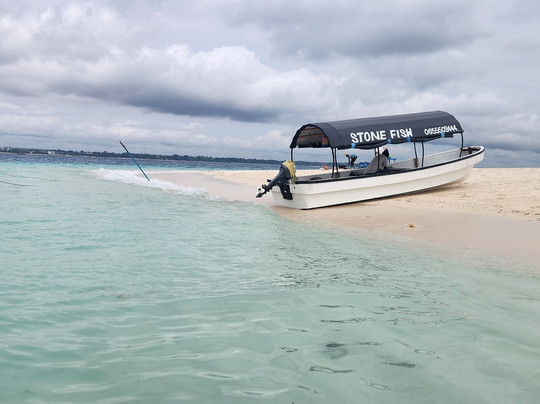 Mody Zanzibar Tours & Safaris-石头城必去景点