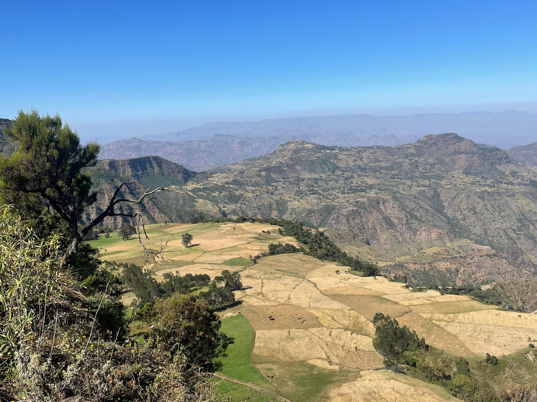 Simien Mountains Trekking with Simon景点图片
