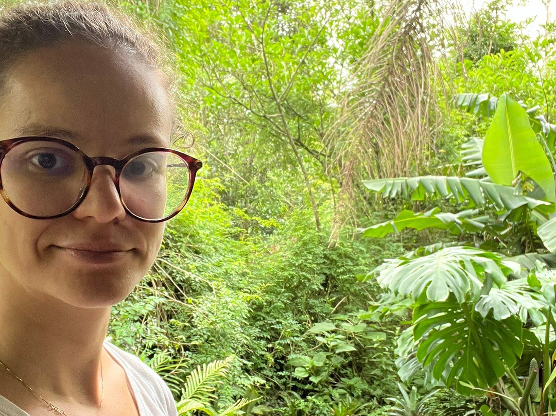 Pousada Refugio das Montanhas主图