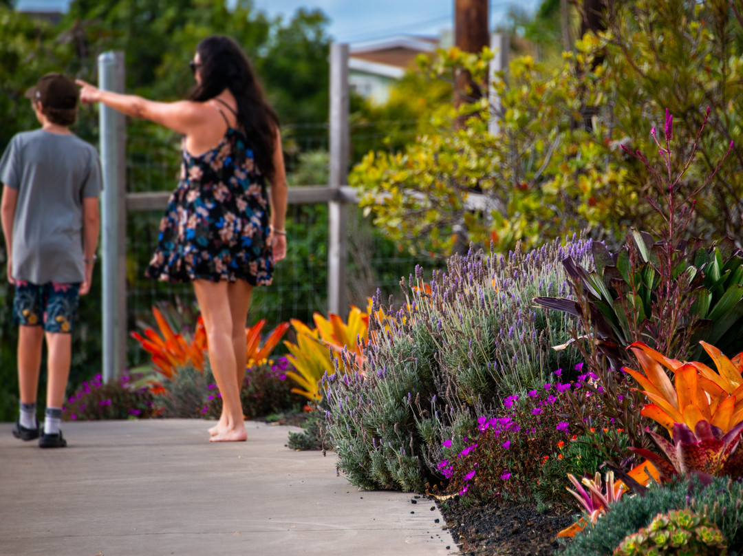 Kula Pueo Farm Tours-库拉必去景点