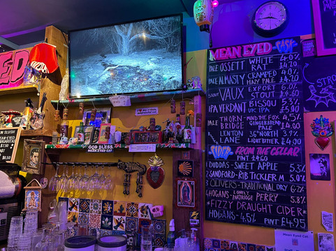 Mean Eyed Cat-纽卡斯尔必去景点