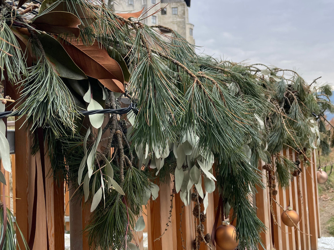 帕可尔酒店主图