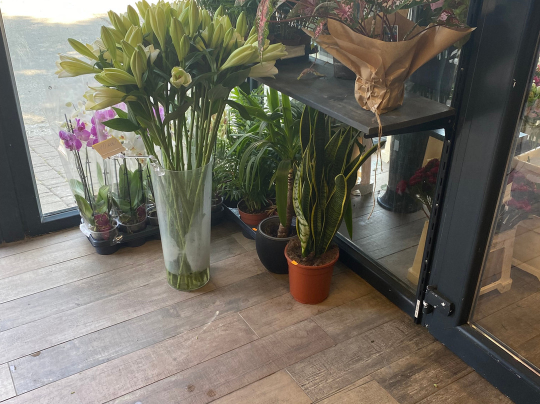 Flower Power景点图片