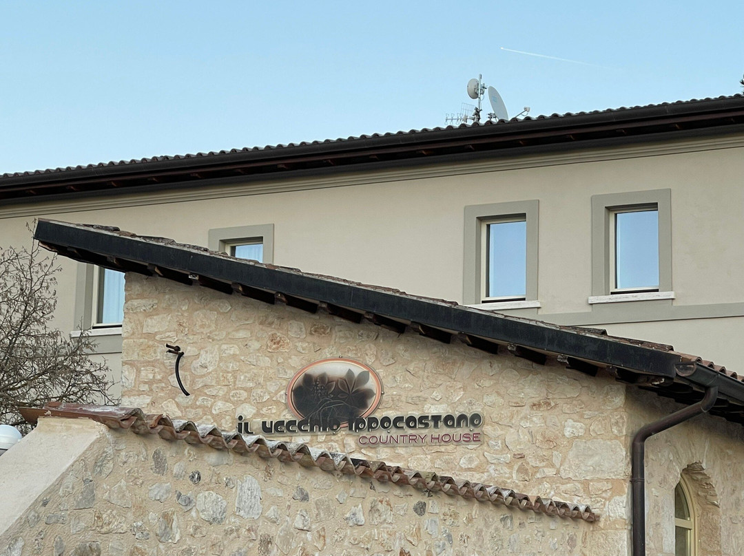 Country House il Vecchio Ippocastano主图
