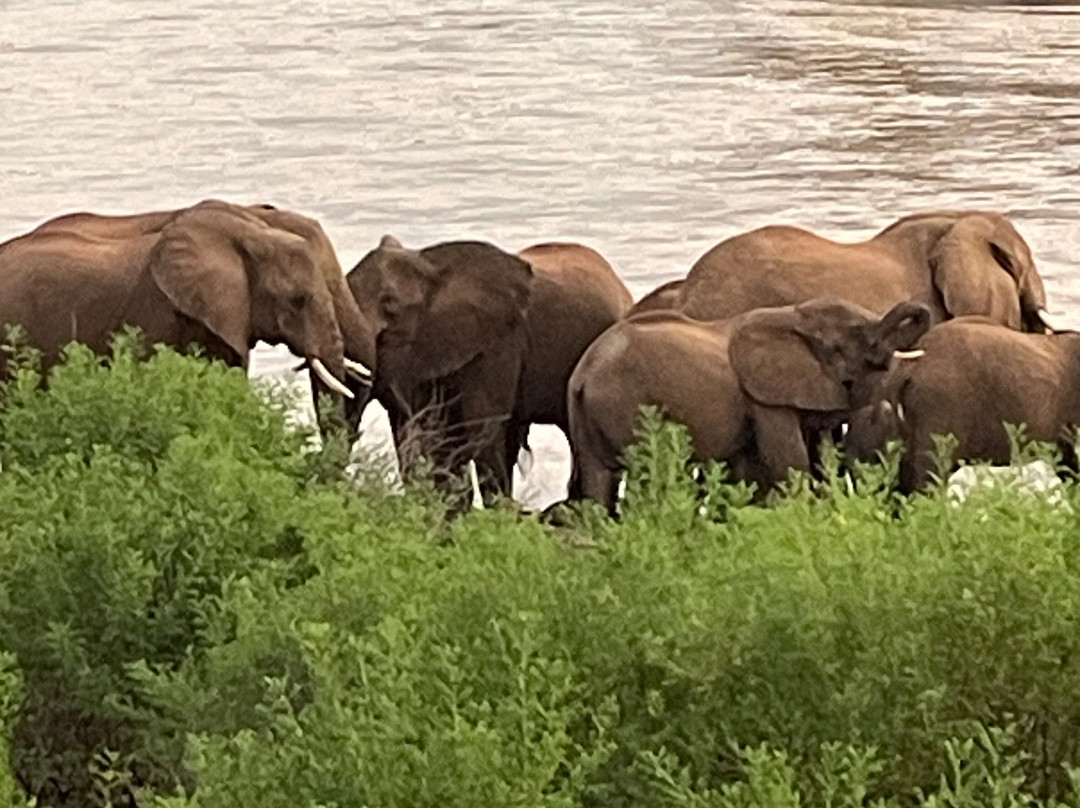 CAT Safaris-沙加缅度必去景点