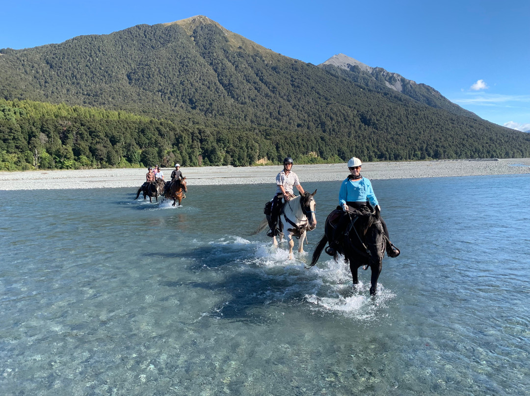 High Country Horse Adventures Lake Coleridge-基督城必去景点