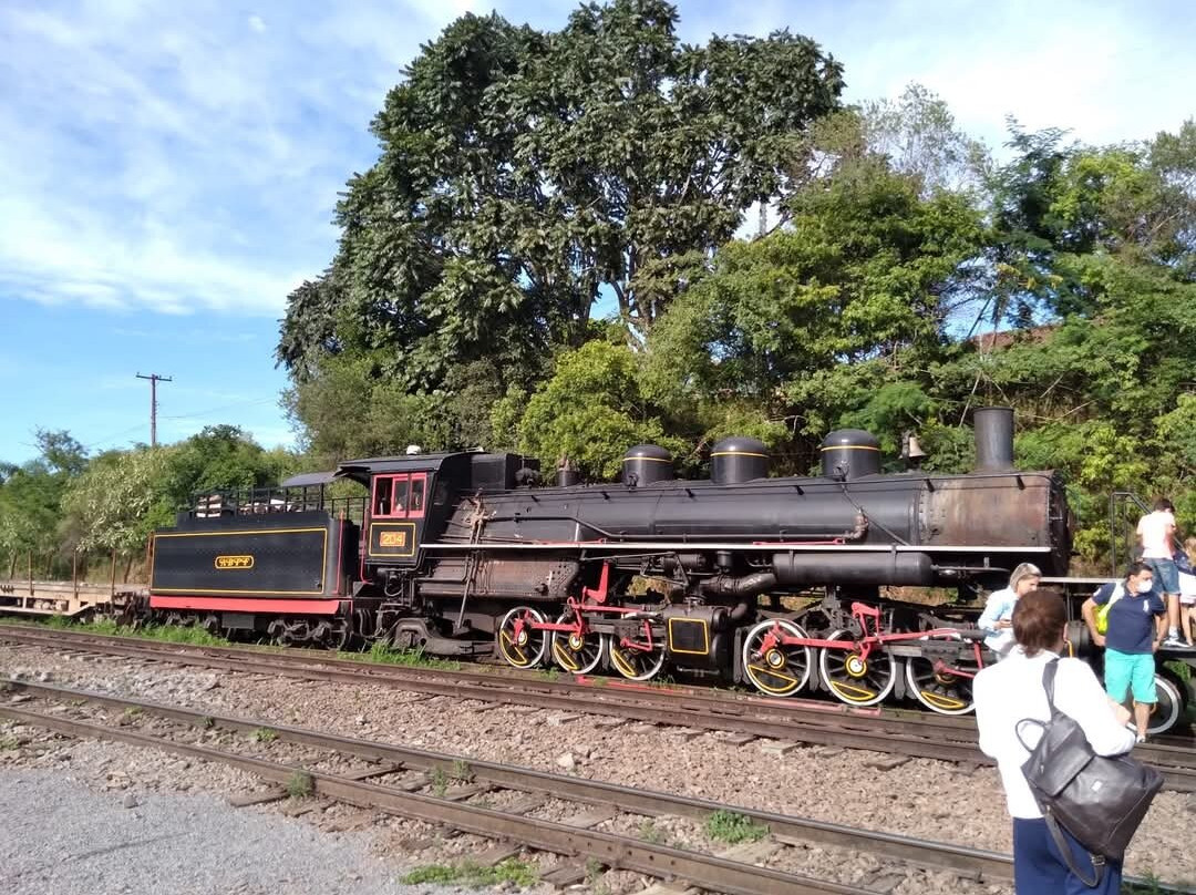 Trem Dos Vales景点图片