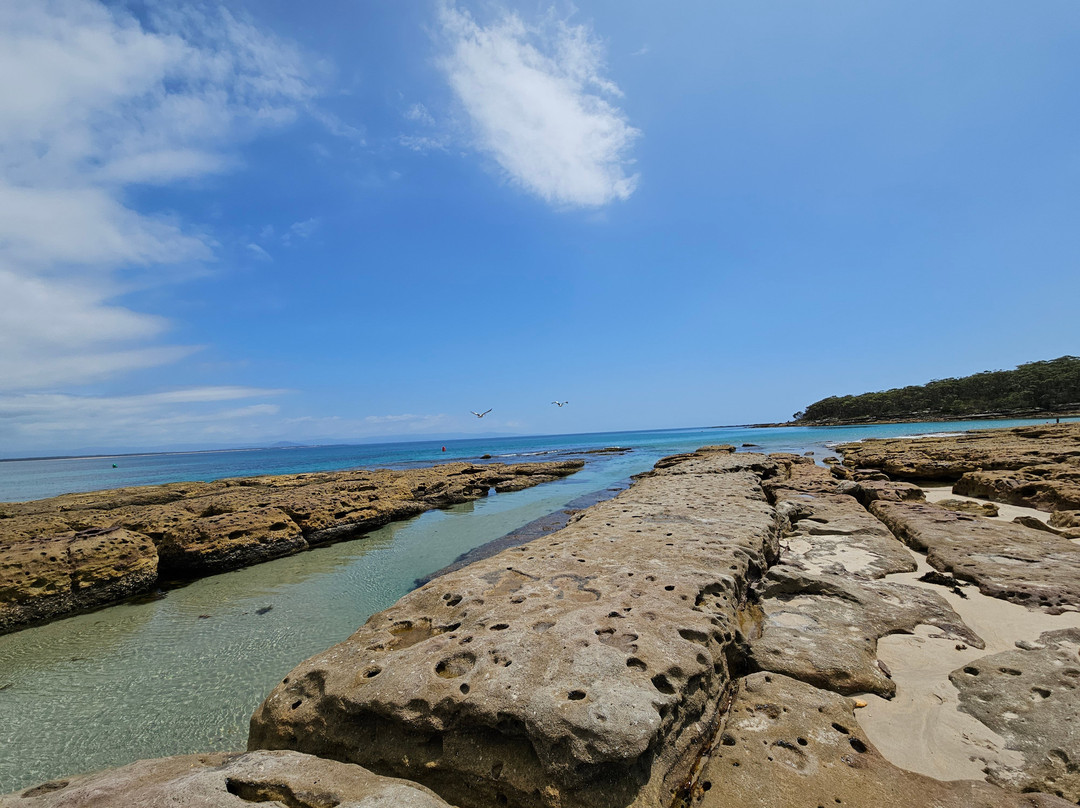 Callala Beach景点图片
