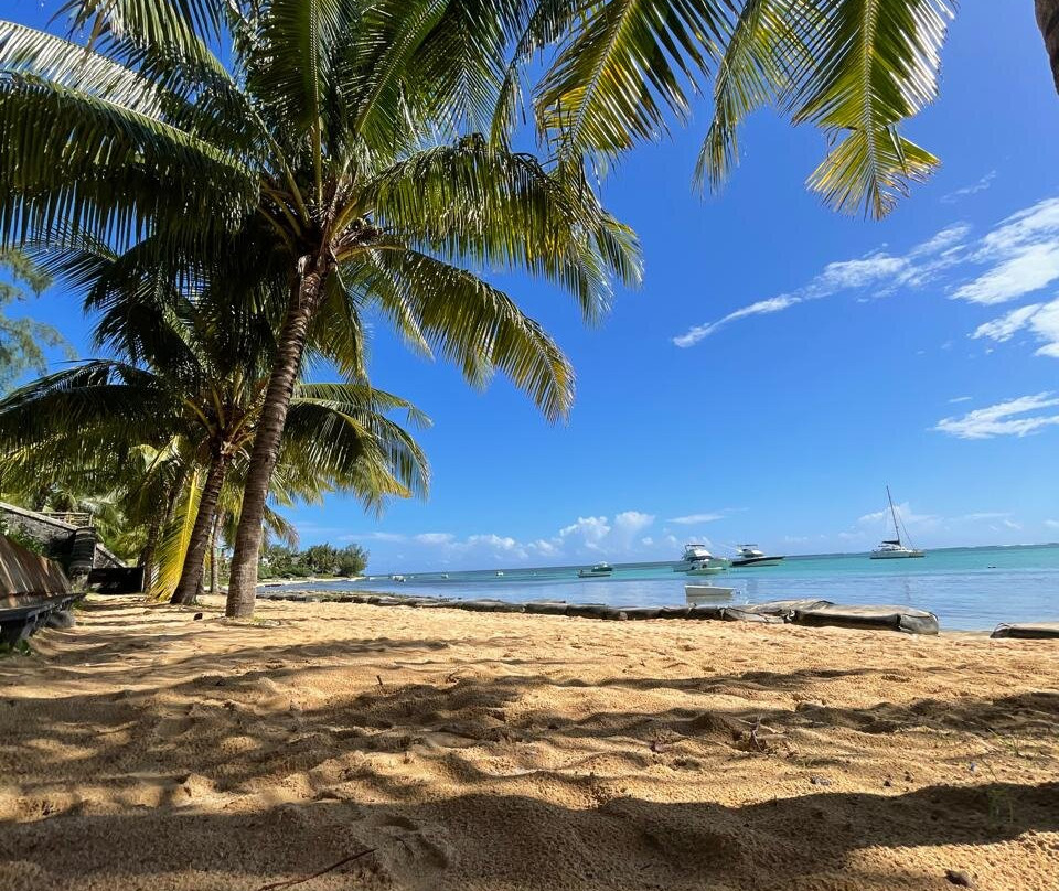 Dodo Spirit-大湾必去景点