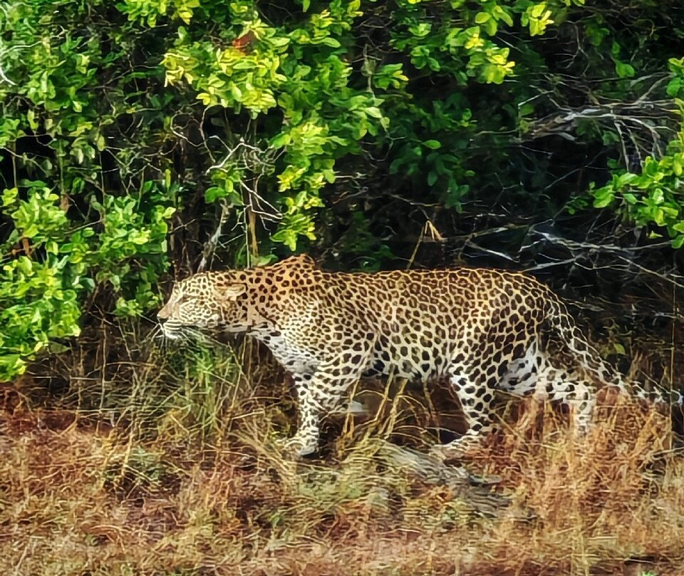 Visit Sri Lanka Holidays景点图片