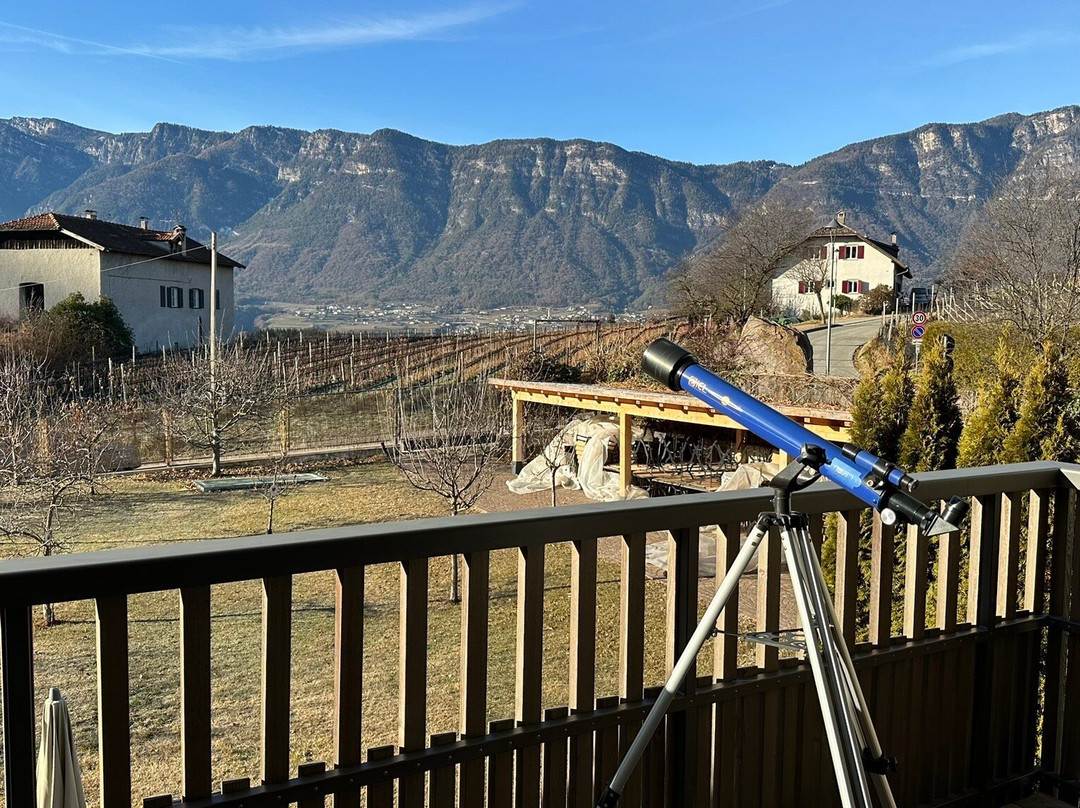 Gartenhotel Moser主图