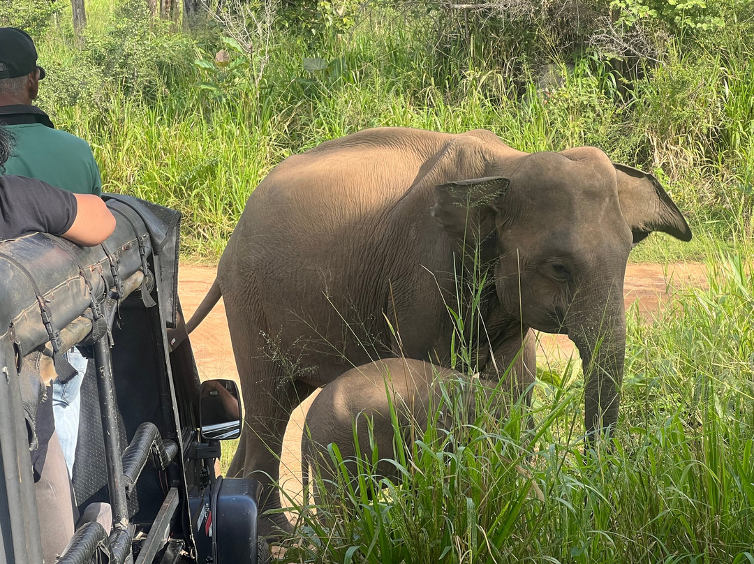 Karunakarala Travels-Waikkal必去景点